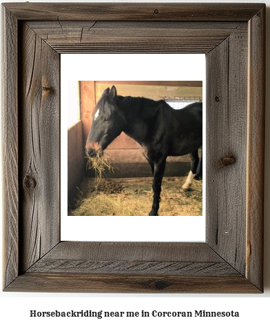 horseback riding near me in Corcoran, Minnesota